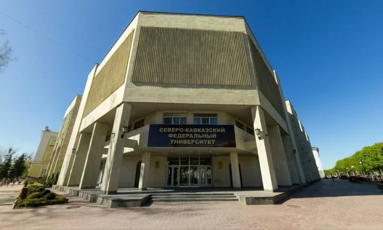 Top 10 ngành học tốt nhất tại Đại học Liên bang Bắc Kavkaz