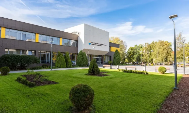 Top 10 ngành học tốt nhất tại Đại học Liên bang Baltic