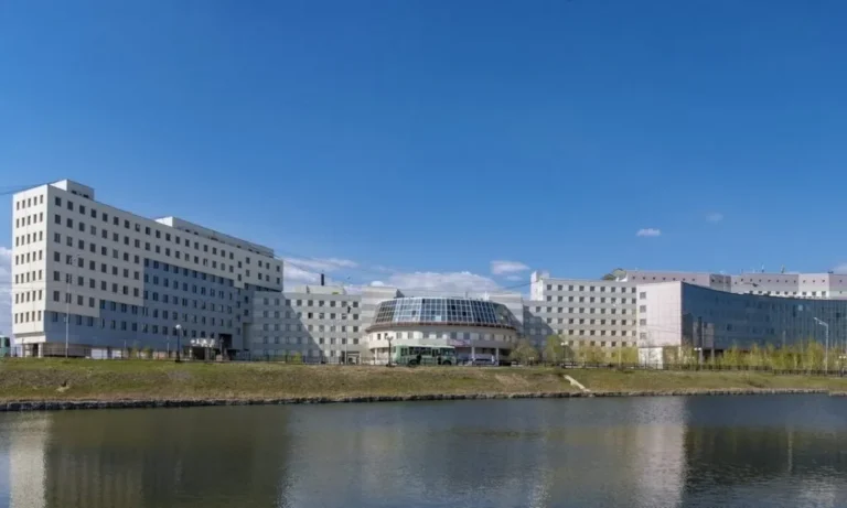 Top 10 ngành học tốt nhất tại Đại học Liên bang Đông Bắc